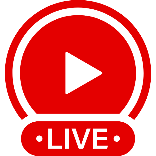 Escort Tran | Live Webcam Shows & Interactive Adult Entertainment